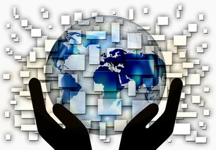 米兰体育官方网站-中国篮球教练员战术创新与应用案例分析，篮球教练基本战术