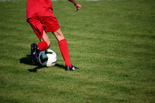 米兰体育APP在线-中国篮球教练员战术创新培训体系，全国篮球教练员岗位培训