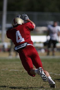 米兰体育APP网页版-五大联赛争四阶段关键球员贡献值差异对比，五大联赛引援